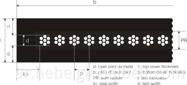 Steel Cord Conveyor Belt Standards